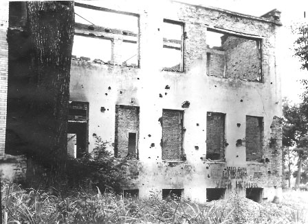 история библиотеки академия