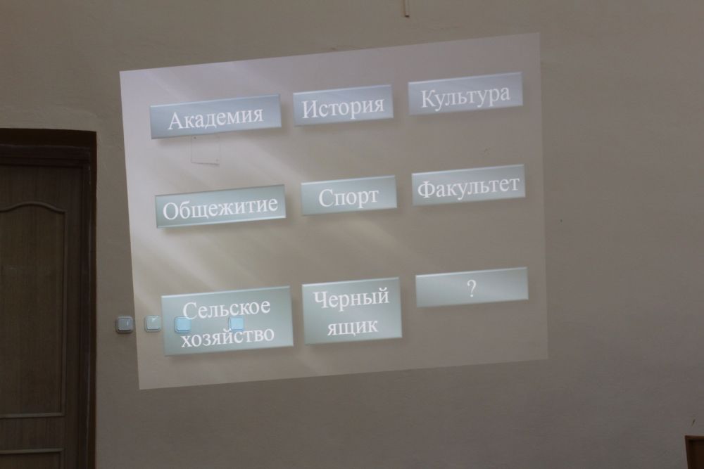 Викторина