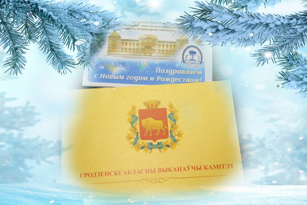 Поздравление