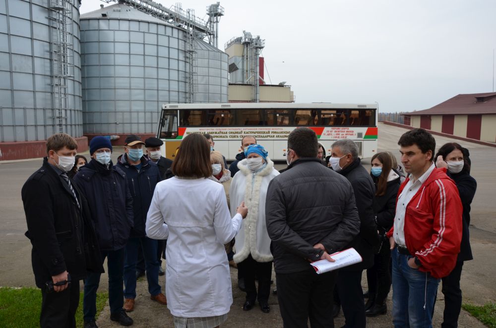 Мазоловогаз