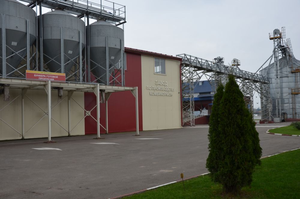 Мазоловогаз