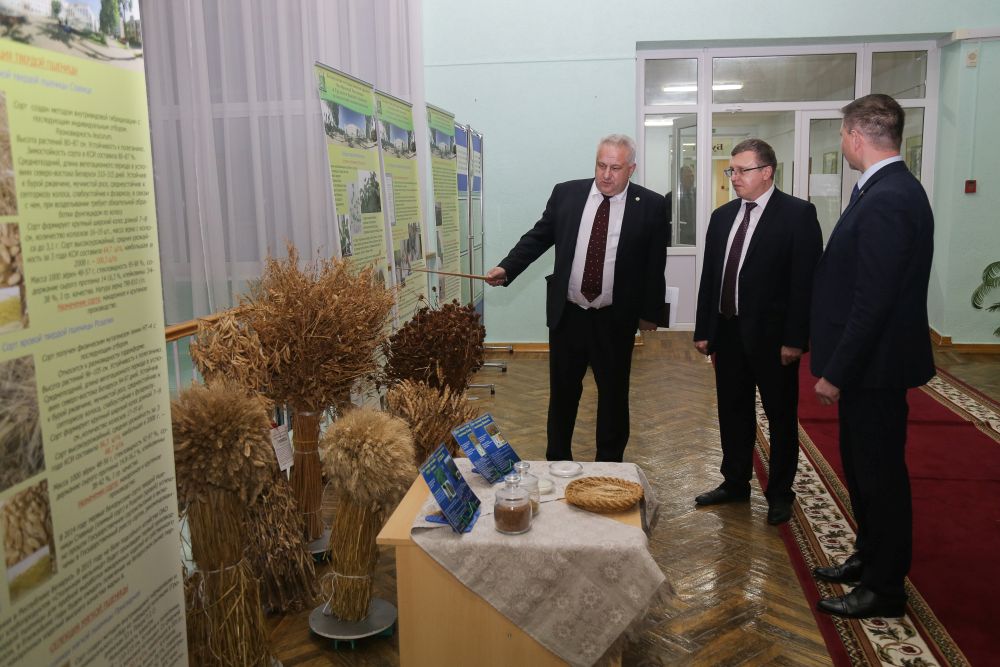 Открытый диалог