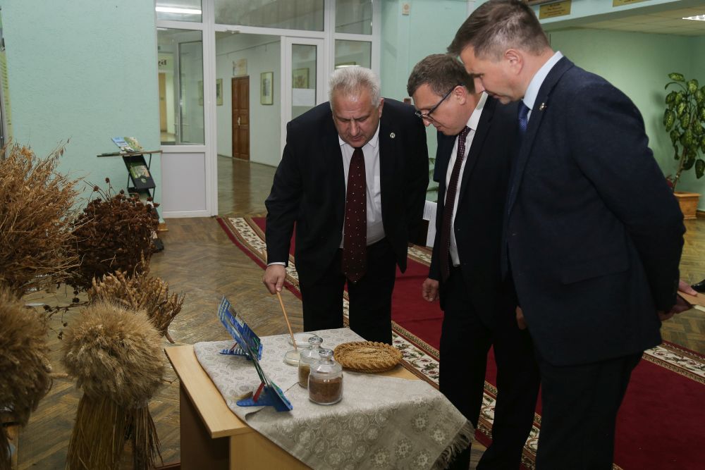 Открытый диалог