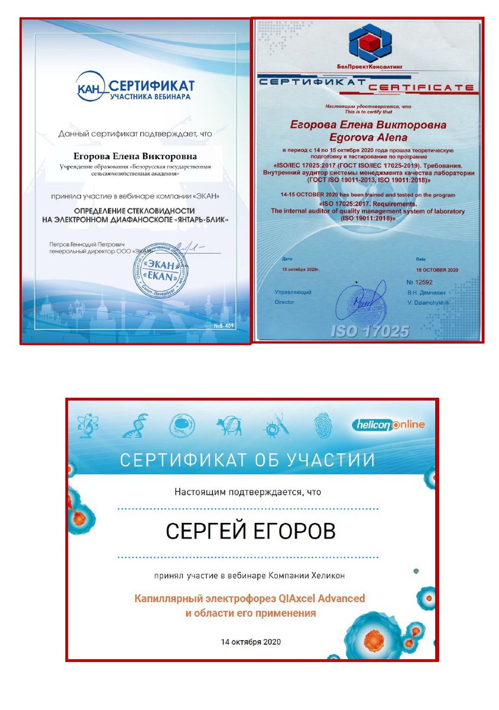 Вебинар