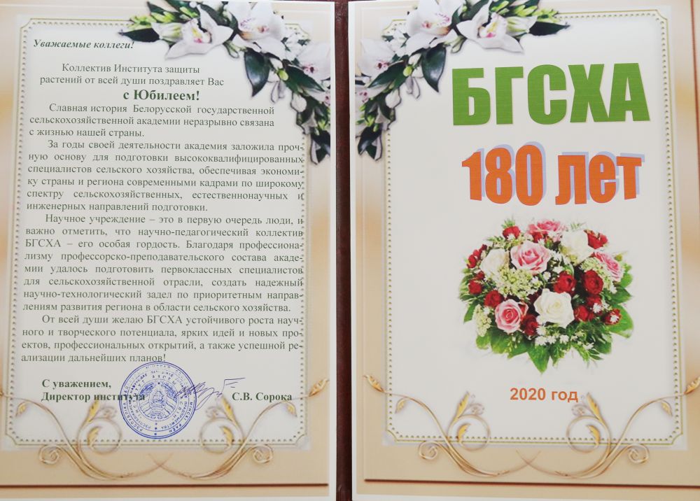 Поздравление