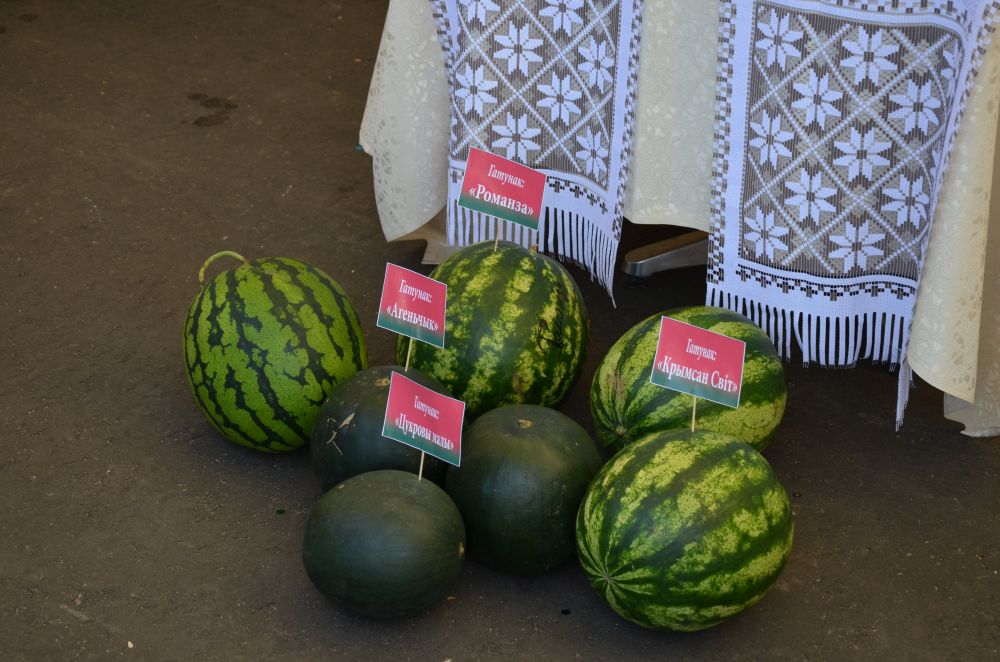 День письменности