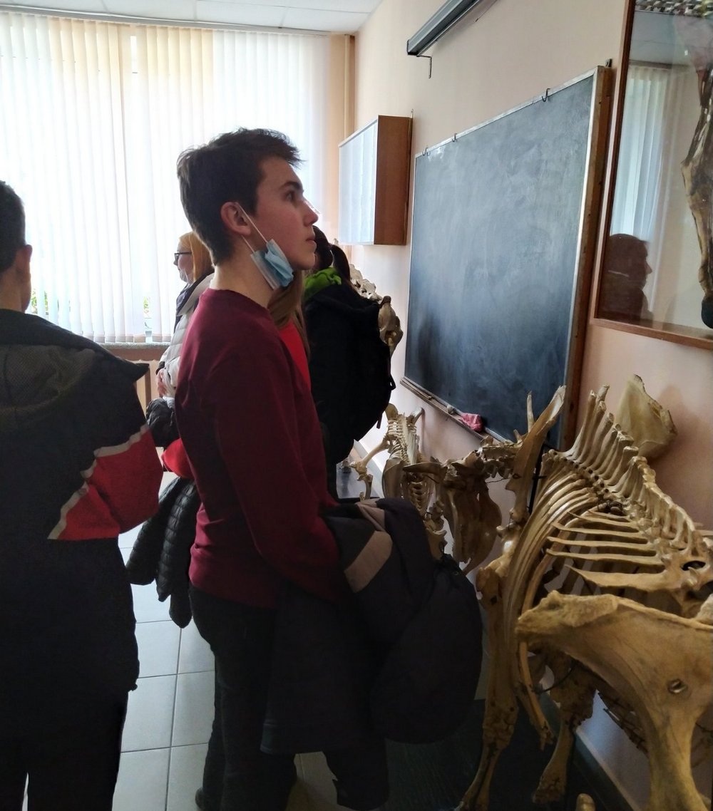 Профориентация