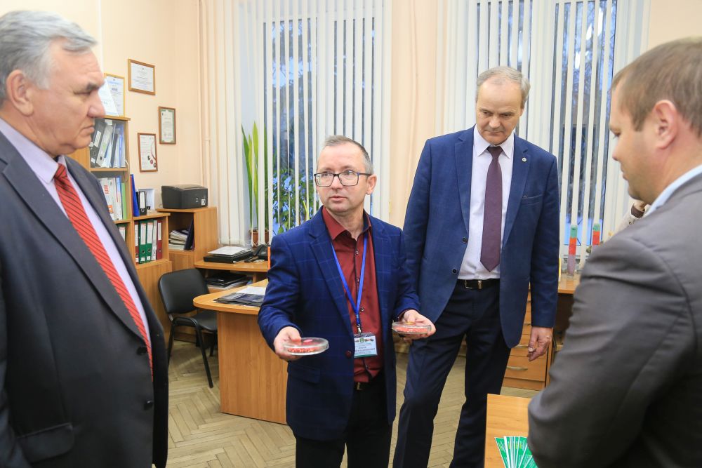 Делегация