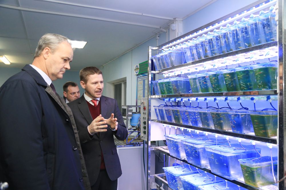 Делегация