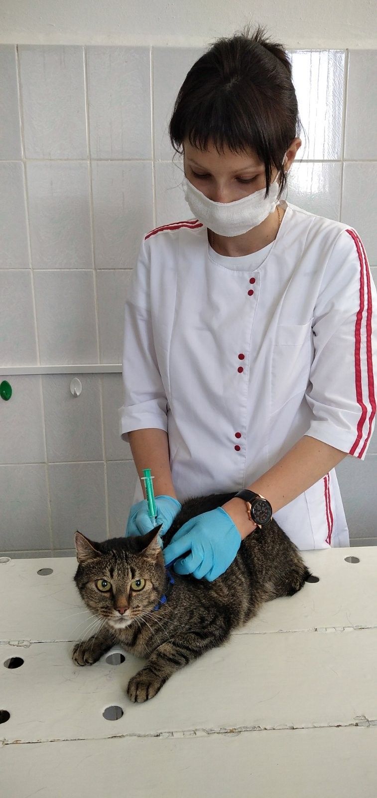 Ветеринарная клиника
