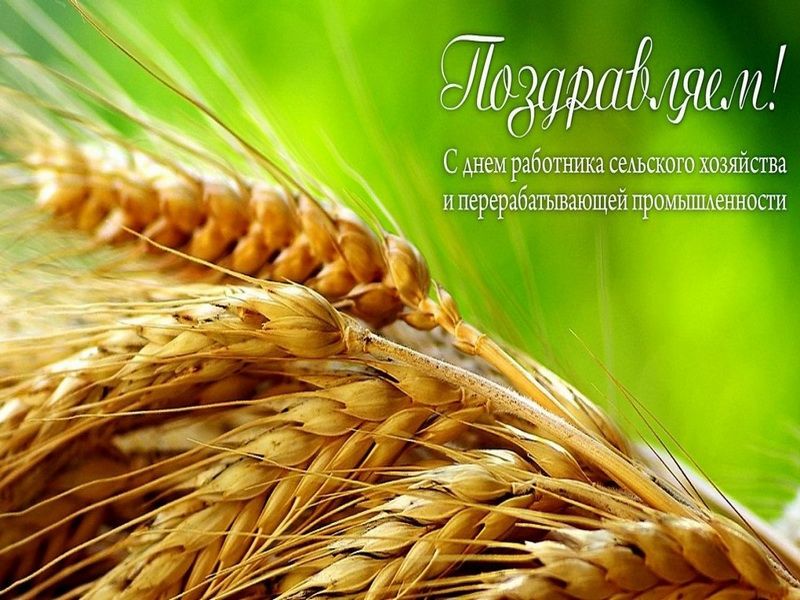 Поздравление
