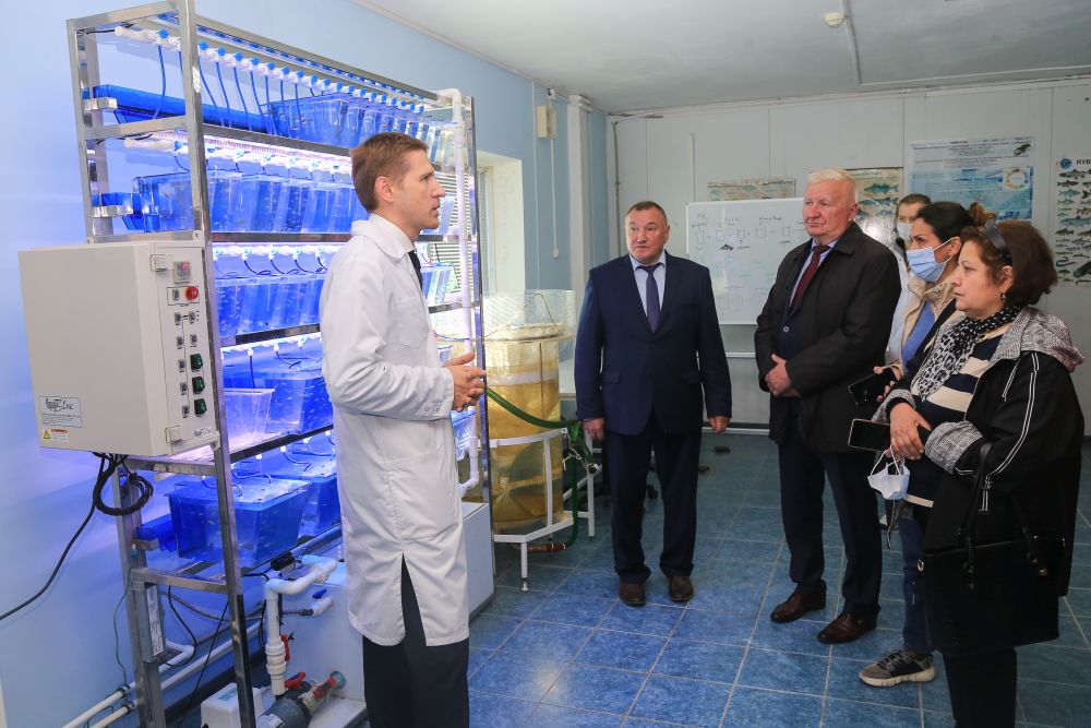 Делегация