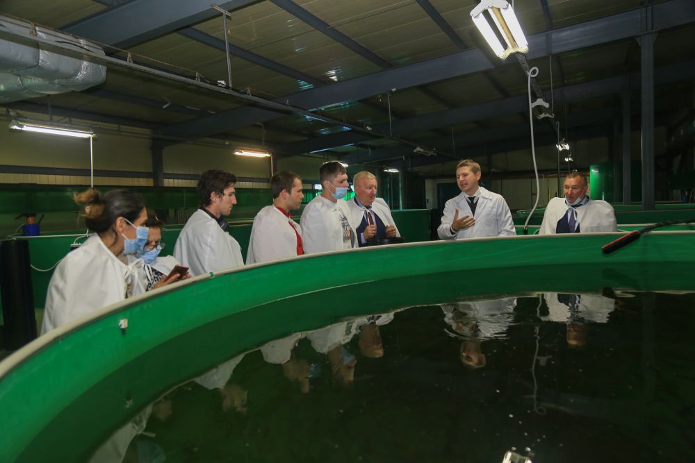 Делегация