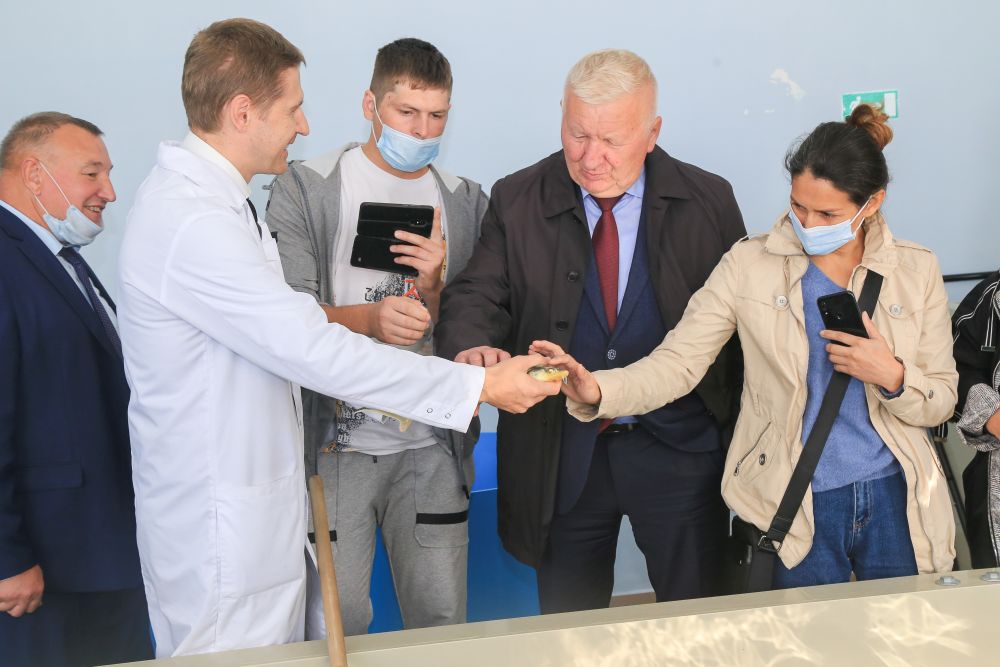 Делегация