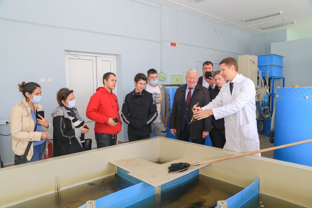 Делегация