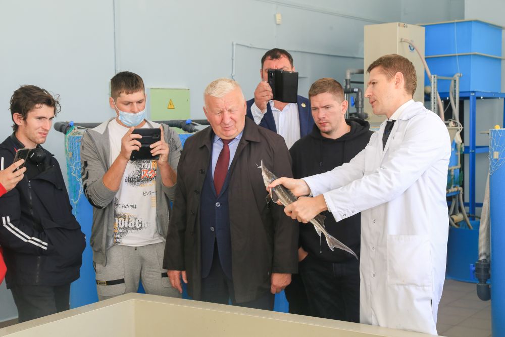 Делегация