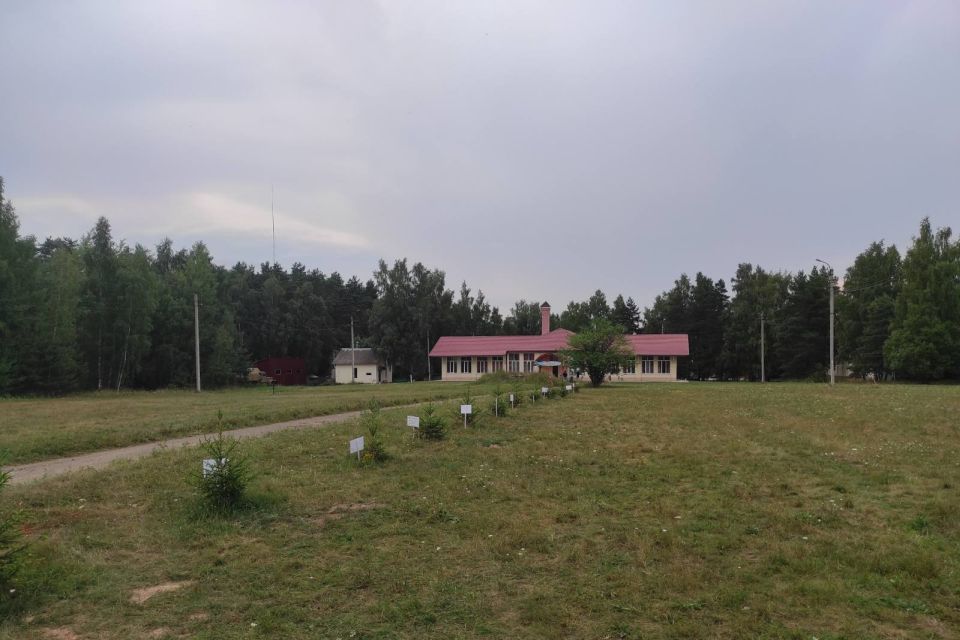 Практика