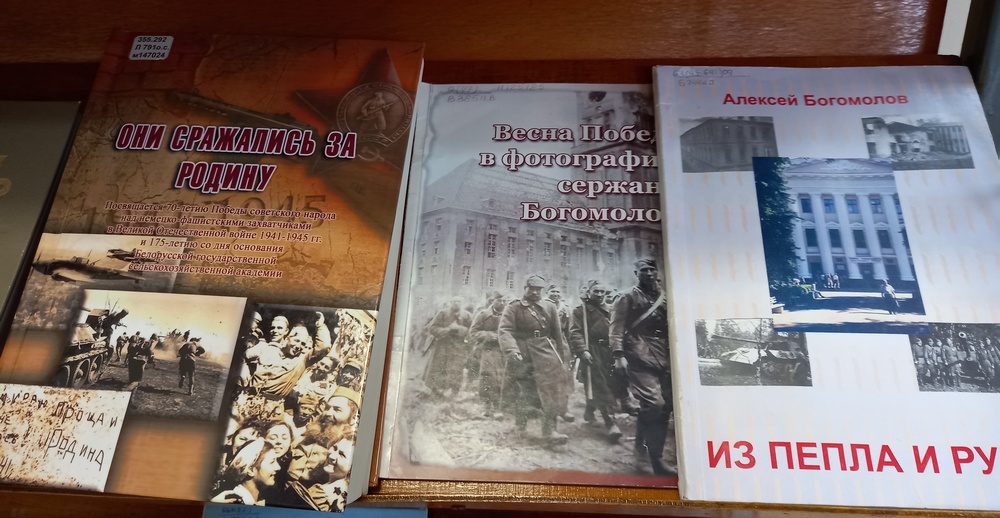Выставка