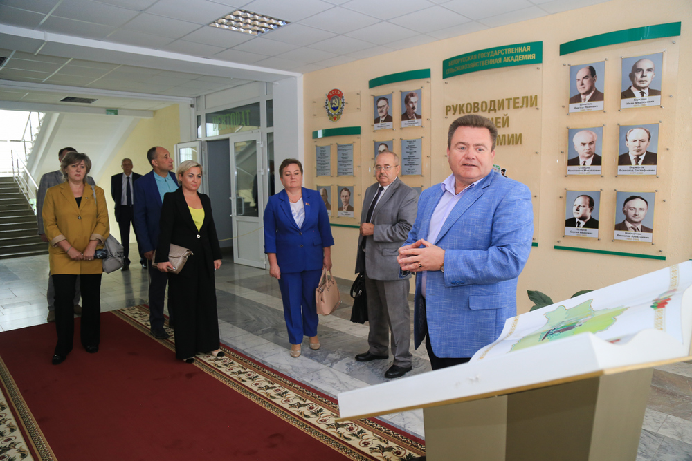Поздравление