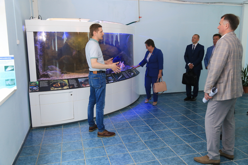Поздравление