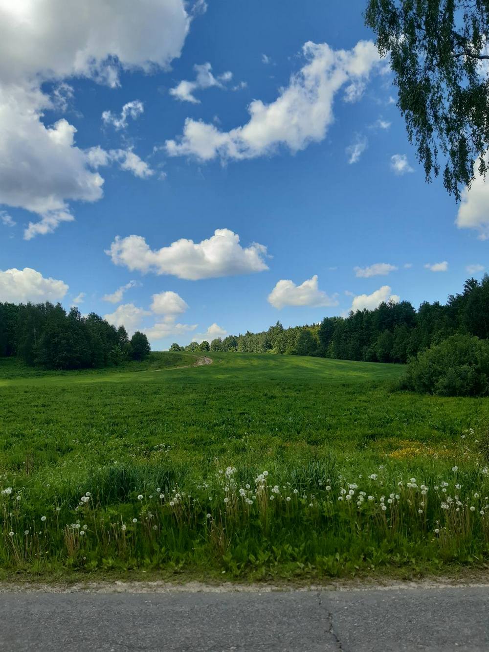 Велопробег