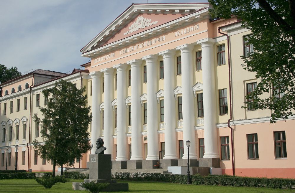 День знаний