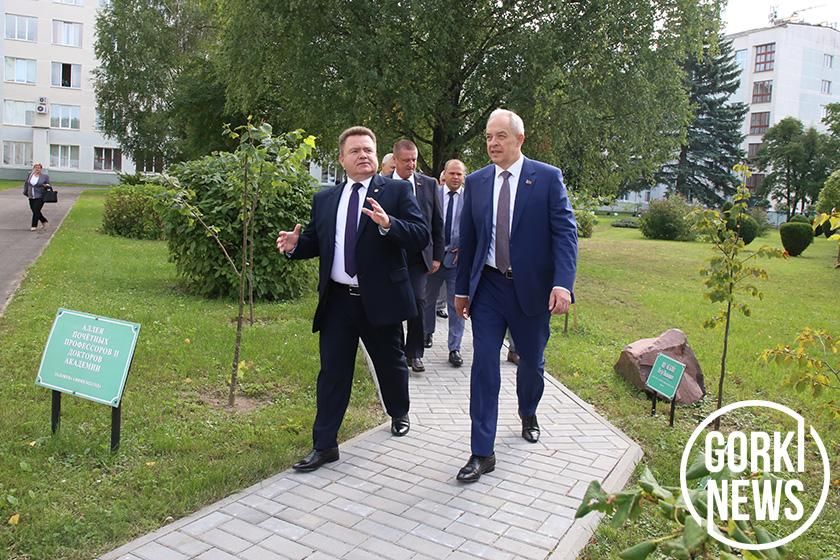 СМИ