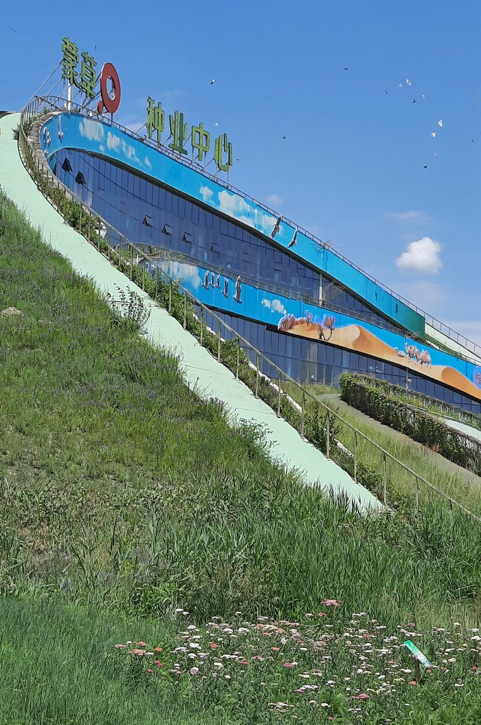 Беларусь – Китай