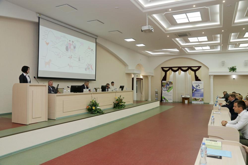 конференция
