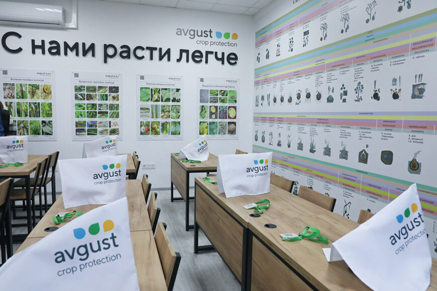 О наc пишут
