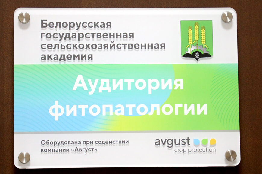 О наc пишут