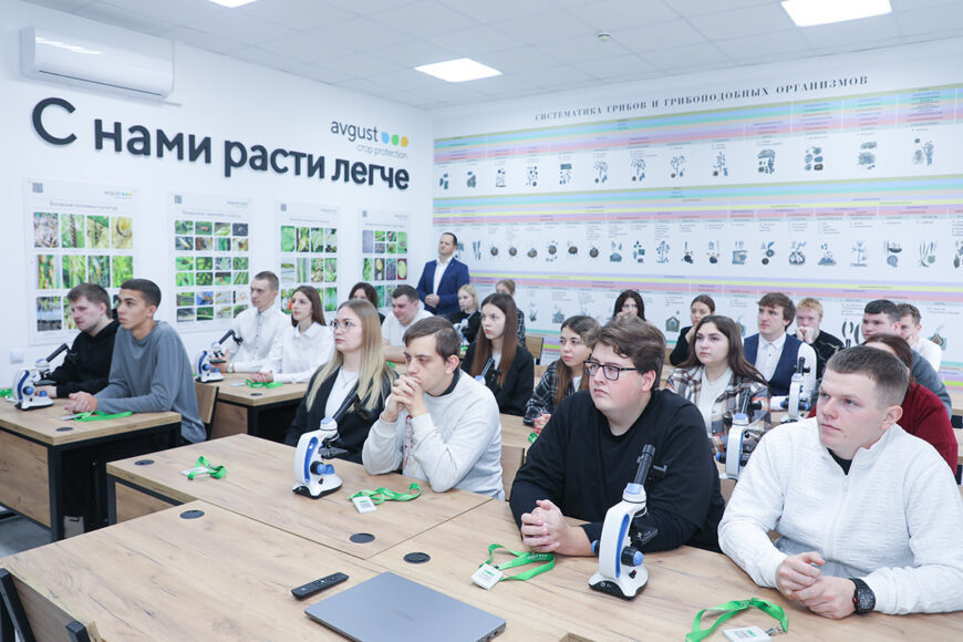 О наc пишут