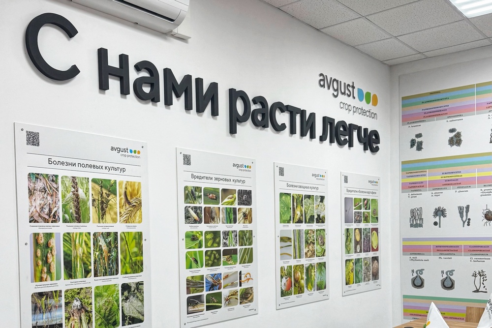 Олимпиада