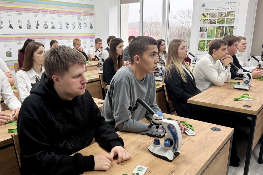 Олимпиада