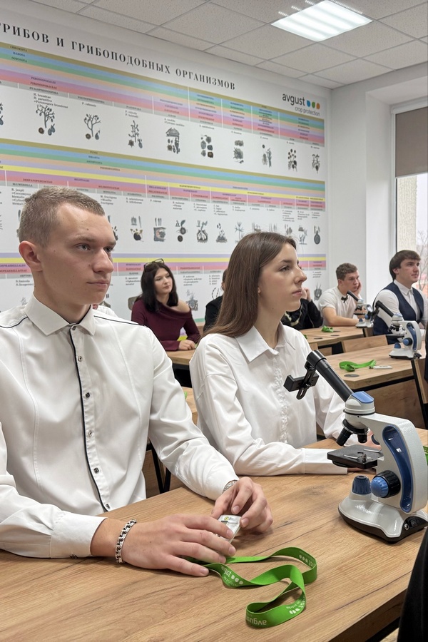 Олимпиада