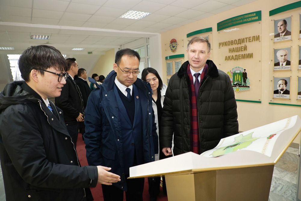 Делегация
