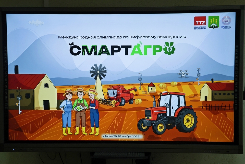 олимпиада