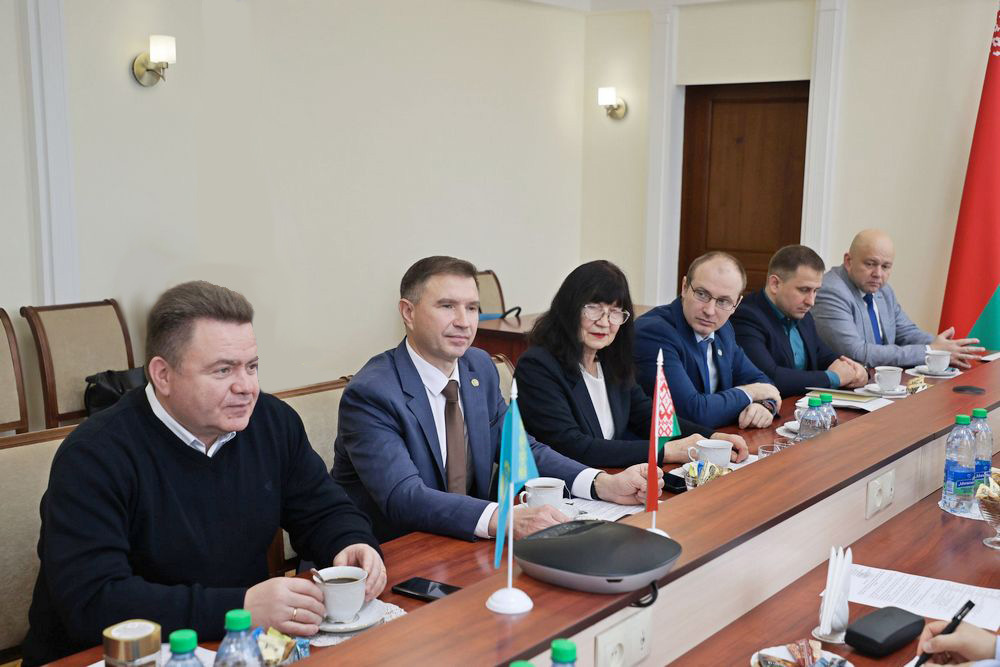 делегация