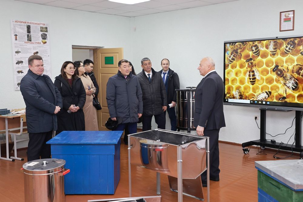 делегация