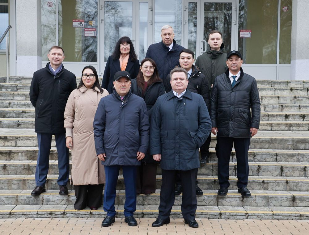 делегация