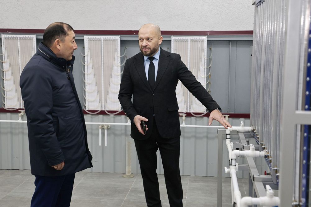 делегация