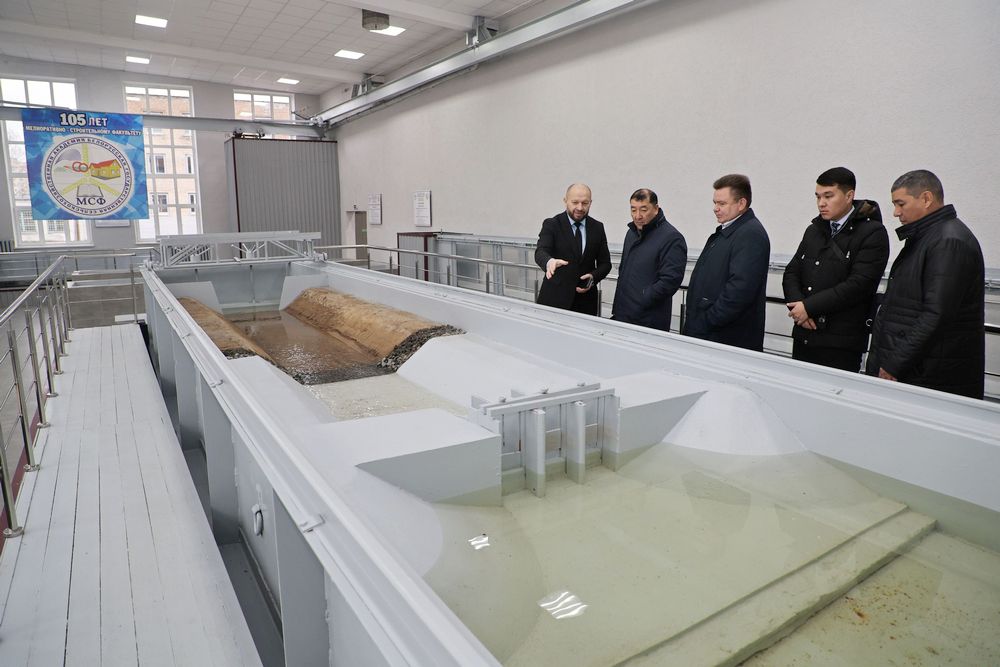 делегация