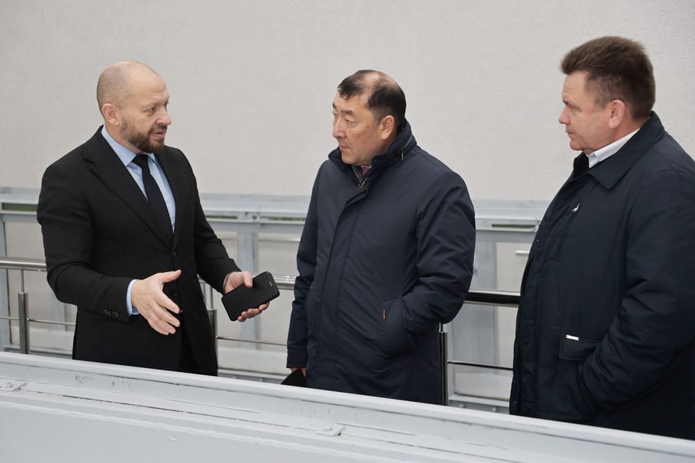 делегация