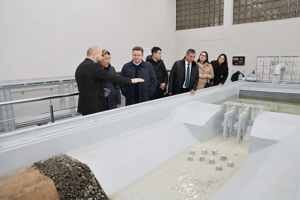 делегация