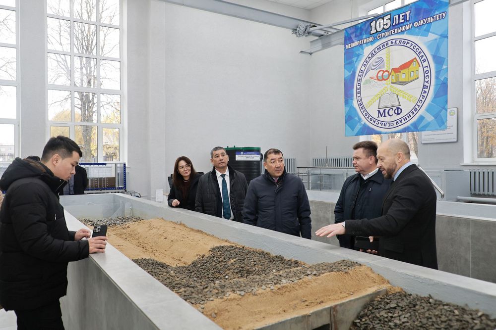 делегация