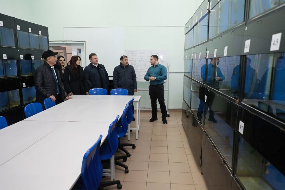 делегация