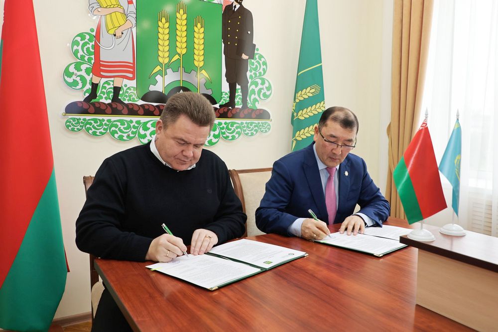 делегация