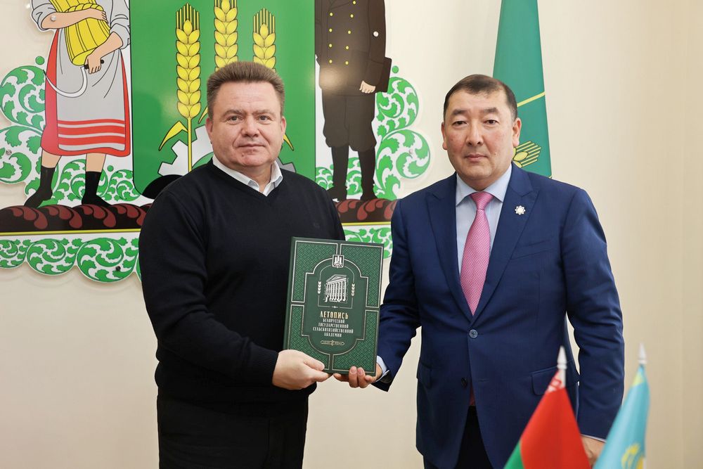делегация