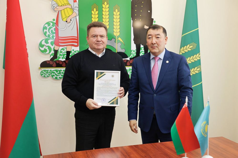 делегация