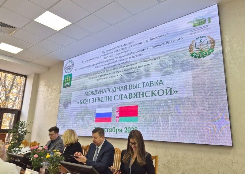 Выставка